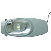 100W 单颗大功率LED路灯 产品信息、市场供应与选购指南